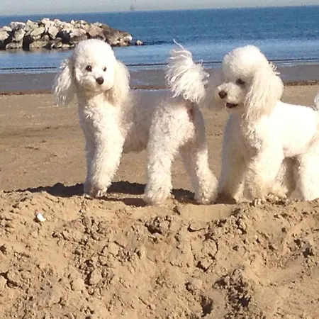 Byron Ξενοδοχείο